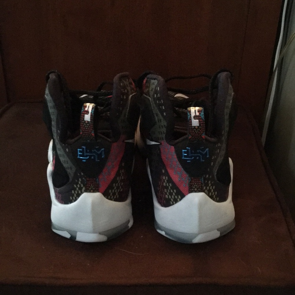 Lebrons - Picture 3 of 5